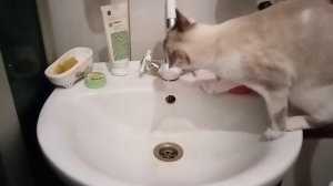 САМАЯ ВКУСНАЯ ВОДА ИЗ КРАНА!