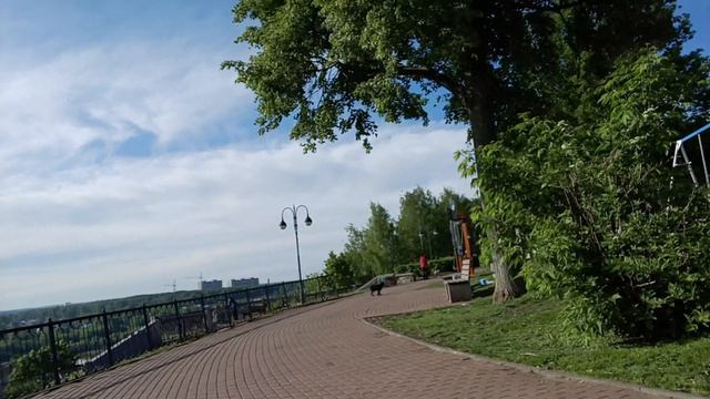 1000013408.mp4. 
