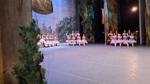 Вставная вариация Студентка выпускного курса Ева Моисеева
