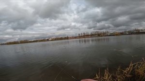 Рыбалка Колпино 2025