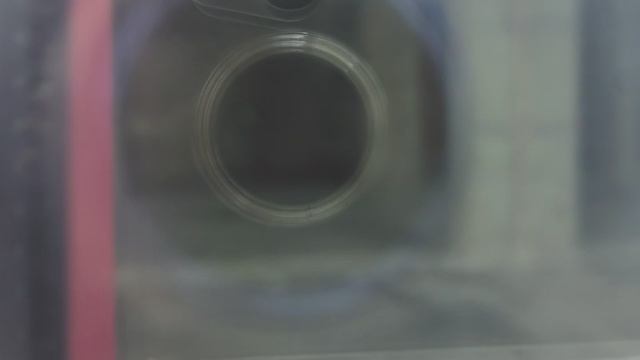 Валдайская 6.   4 мая