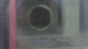 Валдайская, 6.   4 мая
