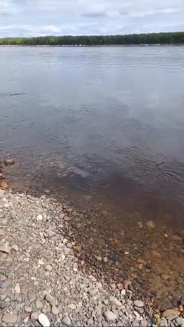 Отчет