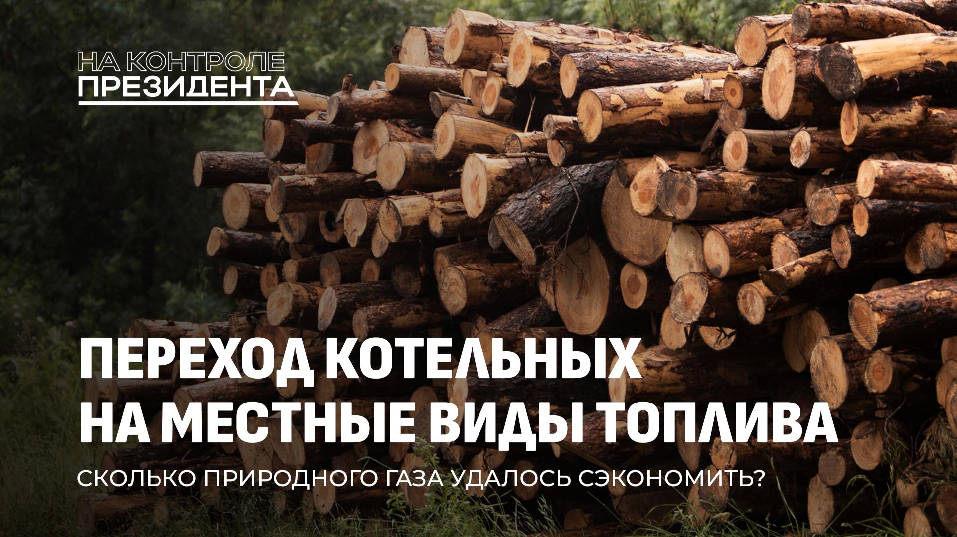 Щепа, торф и пеллеты: как экономим за счет перехода на местные виды топлива? На контроле Президента