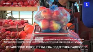 В Севастополе вдвое увеличена поддержка садоводов