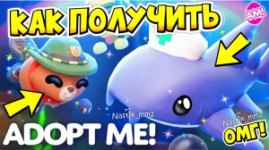 КАК ПОЛУЧИТЬ НОВУЮ АКУЛУ В ЛЕТНЕМ ЛАГЕРЕ В АДОПТ МИ?😱🦈 ВТОРАЯ НЕДЕЛЯ ОБНОВЛЕНИЯ!👀 ADOPT ME