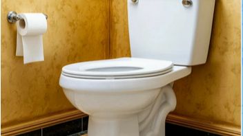 Устройство запорной арматуры бачка унитаза.
