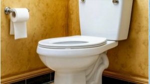 Устройство запорной арматуры бачка унитаза.