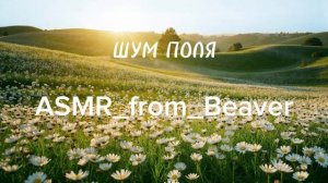 Шум поля.