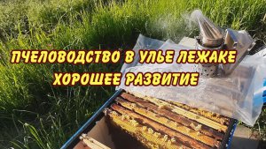 пчеловодство в улье лежаке хорошее развитие. 2023