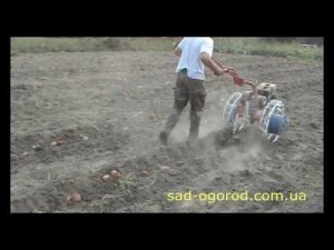 Мотоблок Салют с копалкой Дельфин (Видео 1)