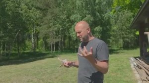 Семейный труд на двух усадьбах уход за прудами животными и огородами