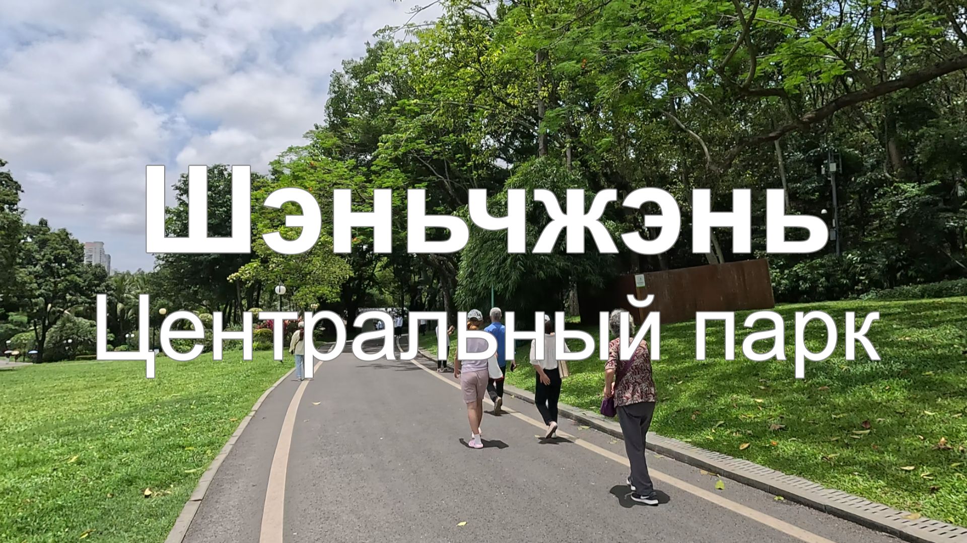 Центральный парк Шэньчжэня: гармония природы в городе | Китай смотреть онлайн