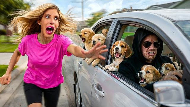 КТО-ТО УКРАЛ НАШИХ ЩЕНКОВ НА 24 ЧАСА! 🚨🐶 Детектив в Реальной Жизни! Ищем вора по камерам! 🕵️♀️❌ смотреть онлайн