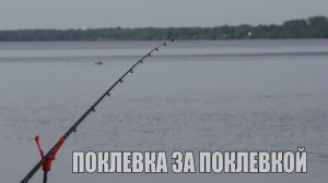 Рыбалка с ночевкой на фидер. Поклевки рыбы крупным планом. река Волга.
