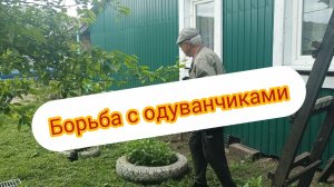 НА ТАЕЖНОМ ХУТОРКЕ #деревенский_блогер