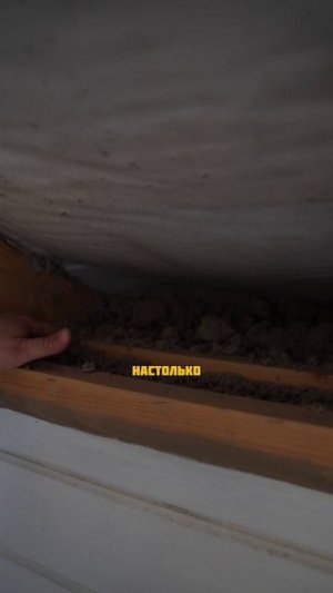 что стало с эковатой спустя 12 лет?