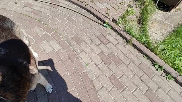 1000088704.mp4 смотреть онлайн