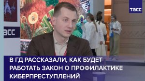 В ГД рассказали, как будет работать закон о профилактике киберпреступлений