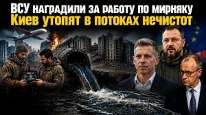 ВСУ «платят» за убийство детей и старушек || Киев захлебнётся в собственных отбросах