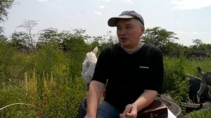Одежда без соблазна
