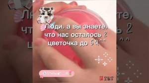 {🍥}~ :3