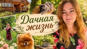 🐾 Новости о Таффи! Показываю котиков, выбираем отделку нового дома. Дачные хлопоты