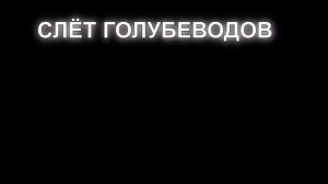 очередной слёт голубеводов г Узловая.