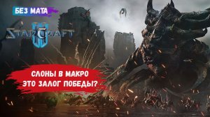 StarCraft II, игры 1v1, ZvР, ZvZ, ZvР, как же слоны хороши в макро