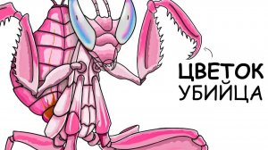 Ты – Орхидейный богомол (И ЭТО ВСЯ ТВОЯ ЖИЗНЬ)