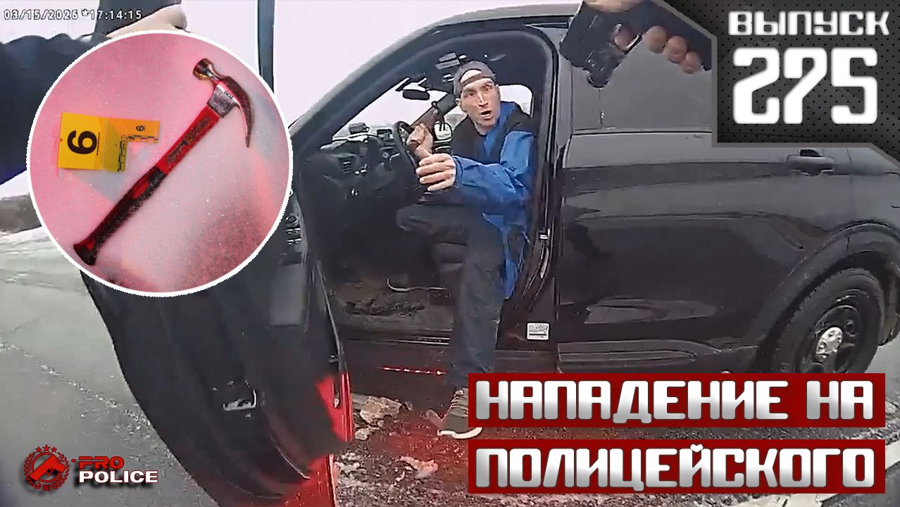 Нападение на полицейского Выпуск 275 июнь 2026