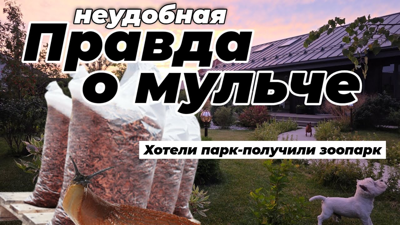 Правда о мульче! Польза или вред для сада? Как нас развели маркетологи и дизайнеры. смотреть онлайн