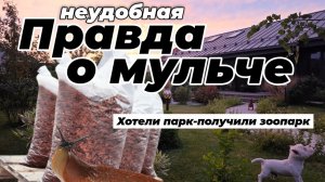 Правда о мульче! Польза или вред для сада? Как нас развели маркетологи и дизайнеры.