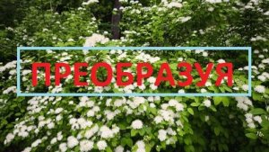 ПРЕОБРАЗУЯ ВСЕ И ВСЯ 2026-06-04