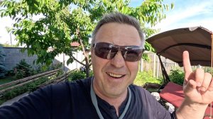 Жизнь вне орхидей. пылесосим ТРАВУ с МАСЕЙ в промежутках между НЕПОГОДОЙ ： залипательное занятие в