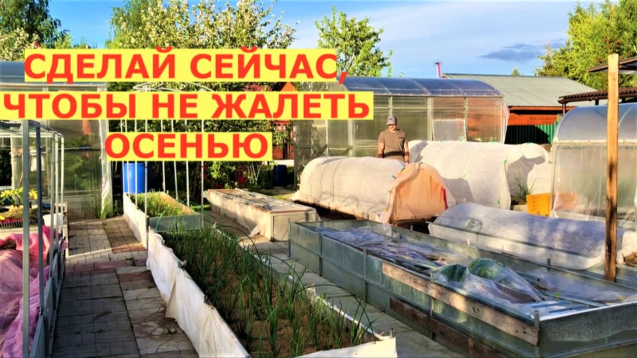 Вредители в огороде и как от них избавится без химии? смотреть онлайн
