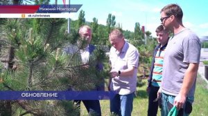 Более 450 деревьев и почти 400 кустарников планируется высадить в этом году в Нижнем Новгороде