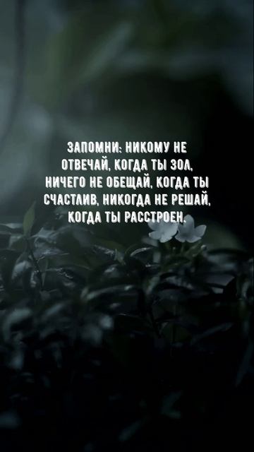 #1091 Цитата дня. Мотивация.