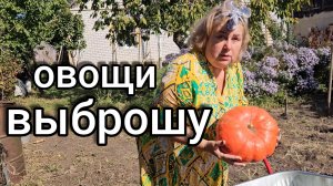 А ведь меня надурили с саженцами, прислали дичку