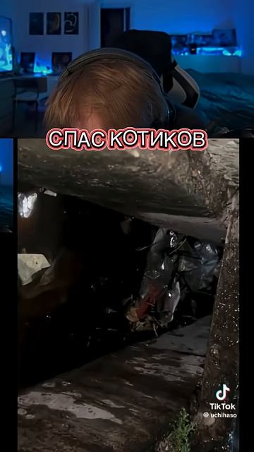 мужик спас котиков в дождь