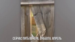 Люди, Которые Отомстили Своим Соседям