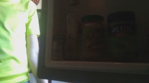А я непонял что вы делаете в моём холодильнике пародия