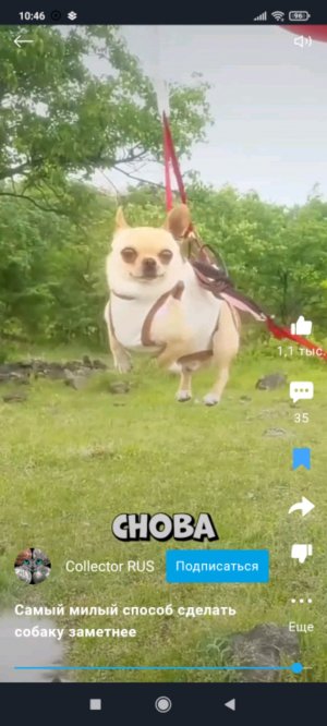 новинькое