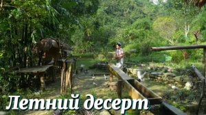 Идеальный летний десерт — красочные домашние, желеобразные напитки.