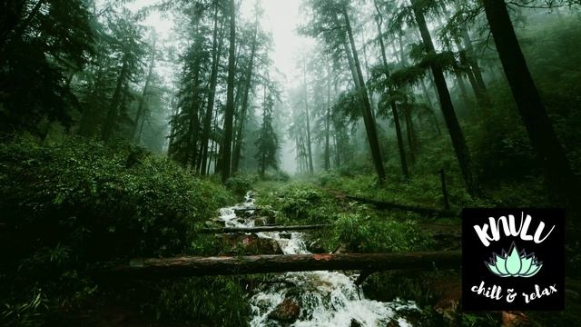 🌿🧘МУЗЫКА ДЛЯ РЕЛАКСАЦИИ, ЙОГИ И МЕДИТАЦИИ. ШУМ ДОЖДЯ, РУЧЬЯ, ШУМ ЛИСТЬЕВ И ПЕНИЕ ПТИЦ.🐦🍃💧