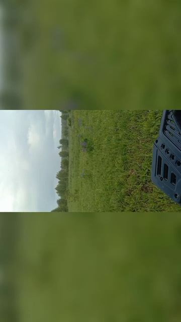 проверка ловушек