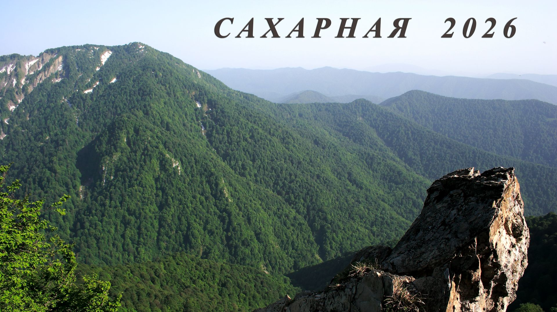 Сахарная 2026