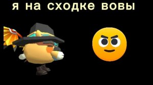 я на сходке вовы