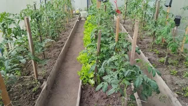Всё надо успеть. Грандиозный объем работы. смотреть онлайн