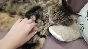 Игрульки